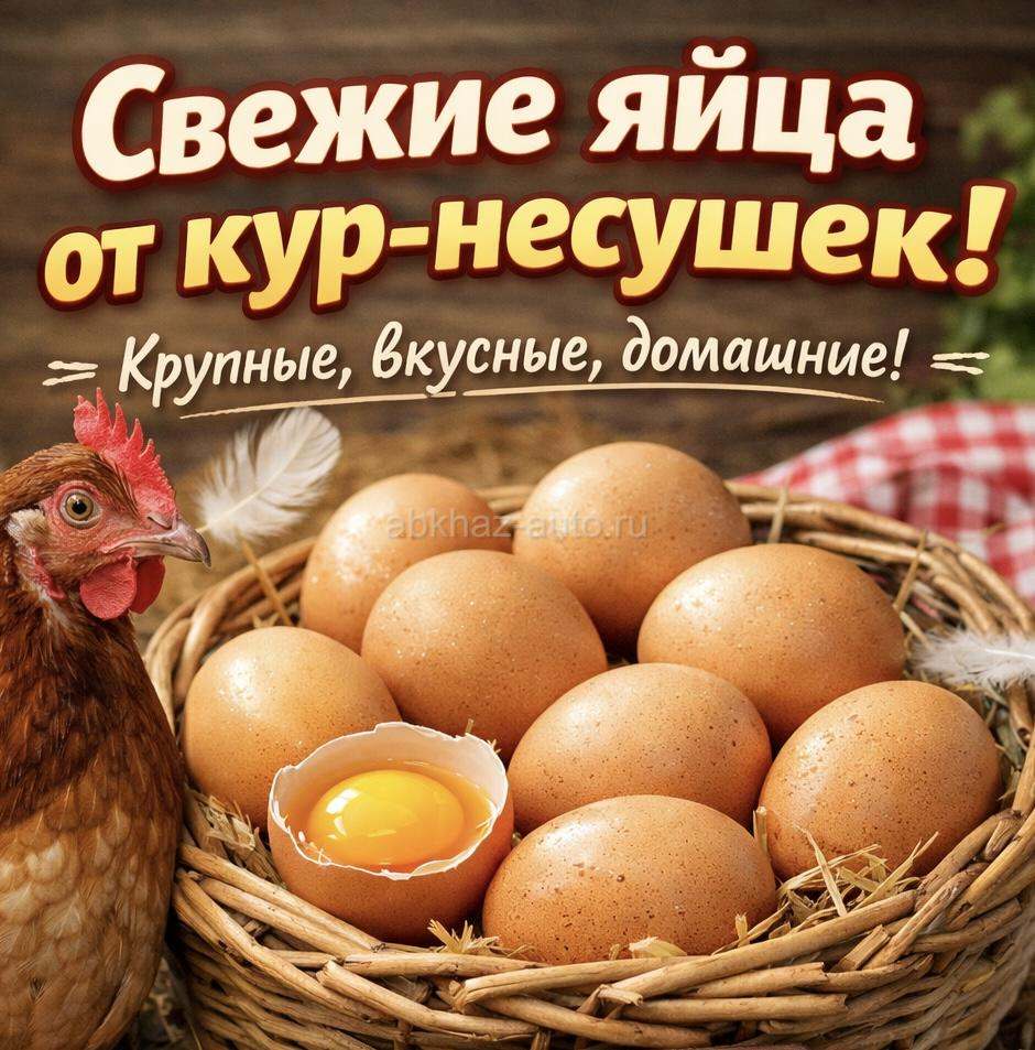 Яйца кур-несушек