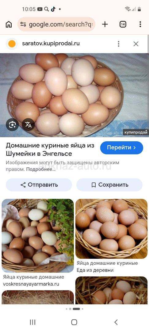 Домашние яйца