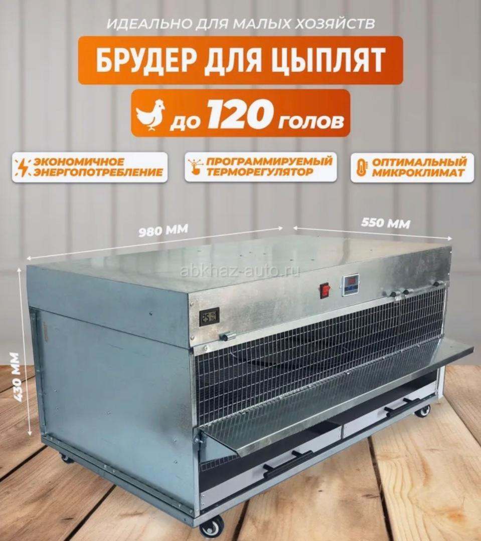 Брудер для цыплят на 120 голов