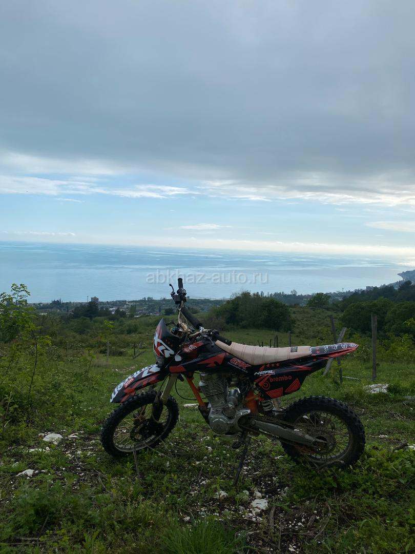 Arctic Cat