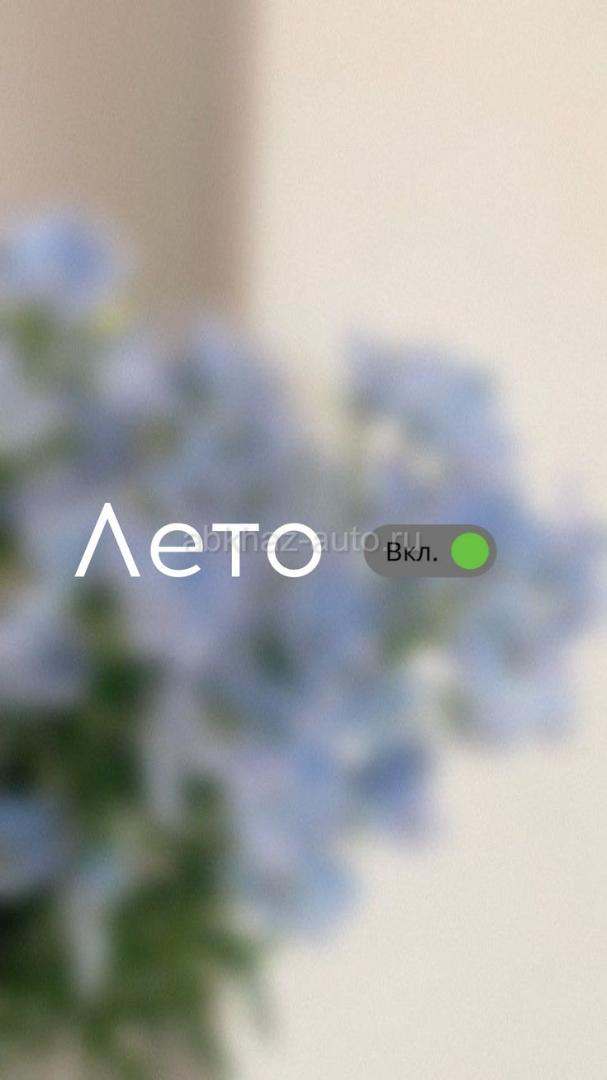 Ищу работу