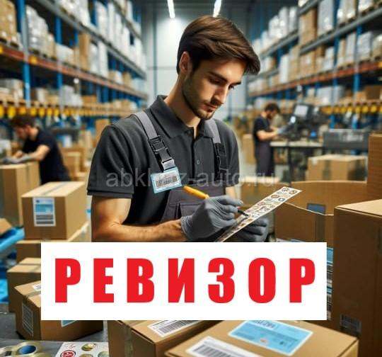 Ревизор