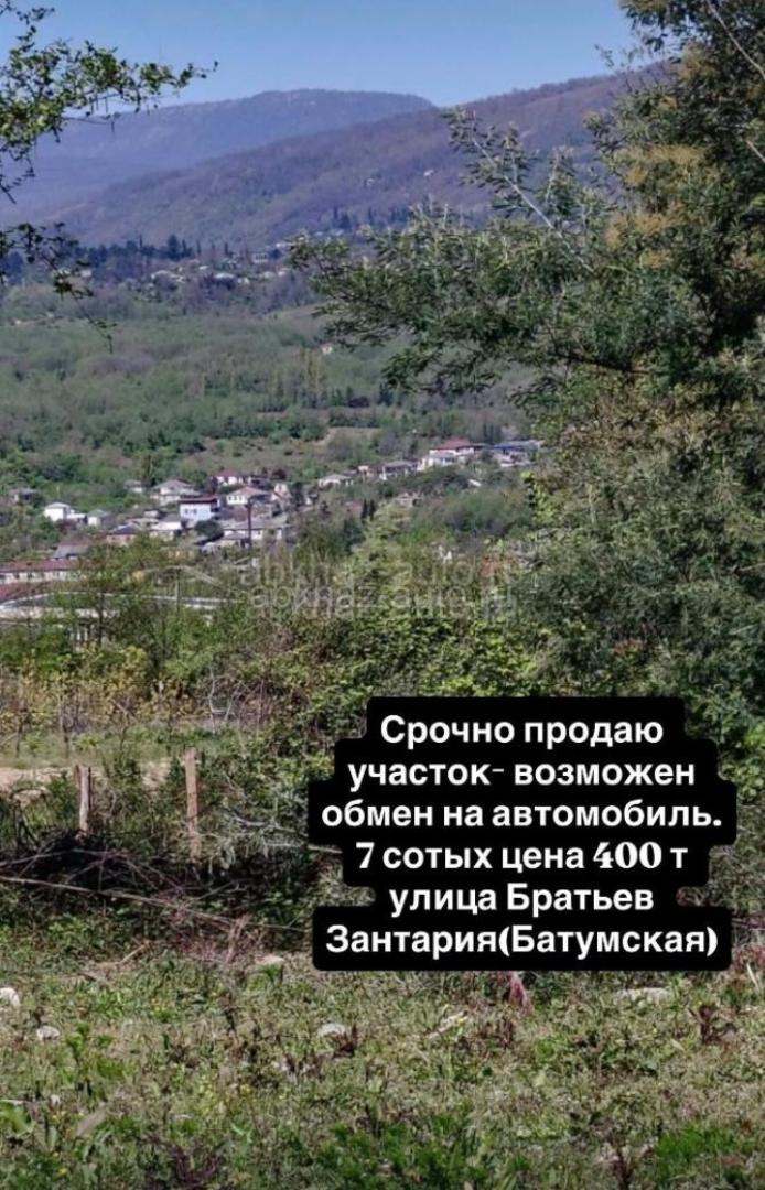 Братьев зантария 7 соток