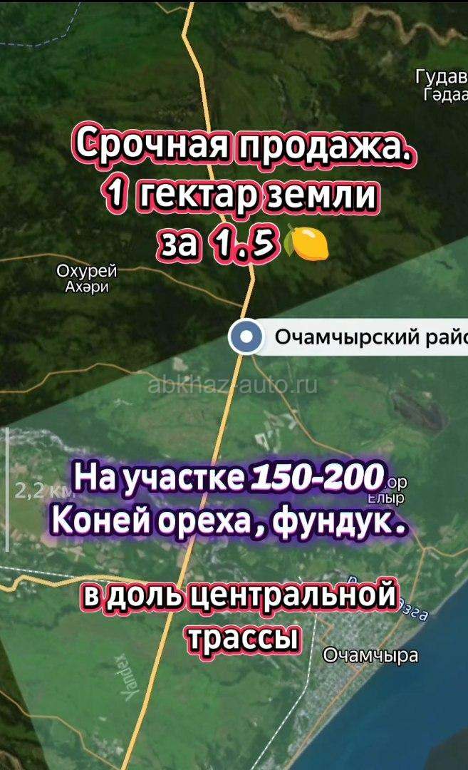 1 гектар за 1.5 🍋.