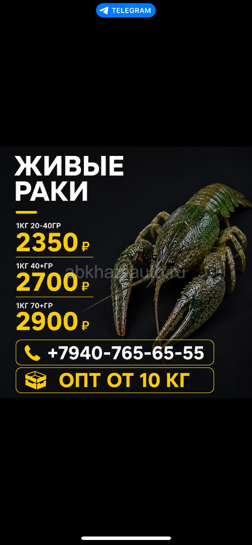 ЖИВЫЕ РАКИ 🦞