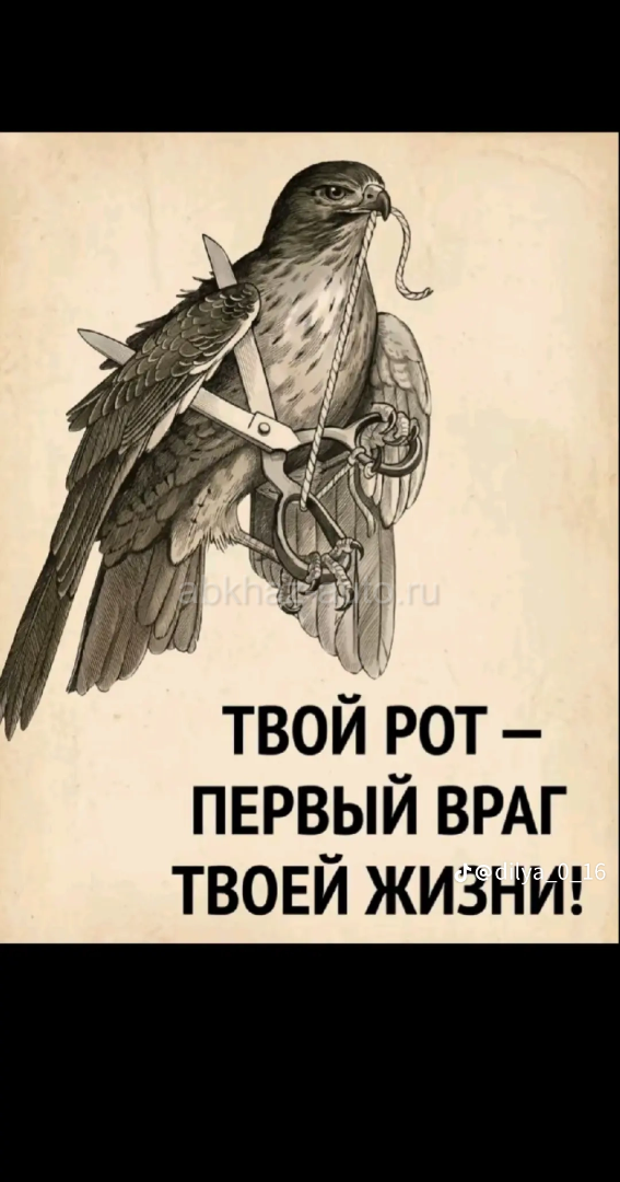Шртлл