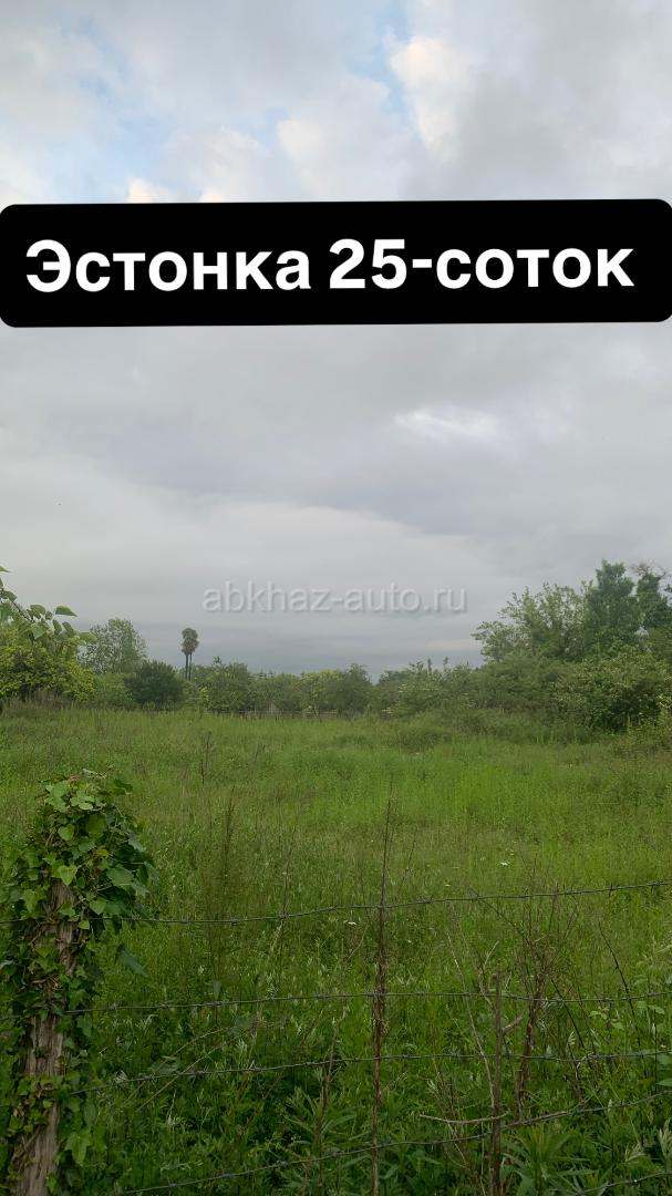 Срочно