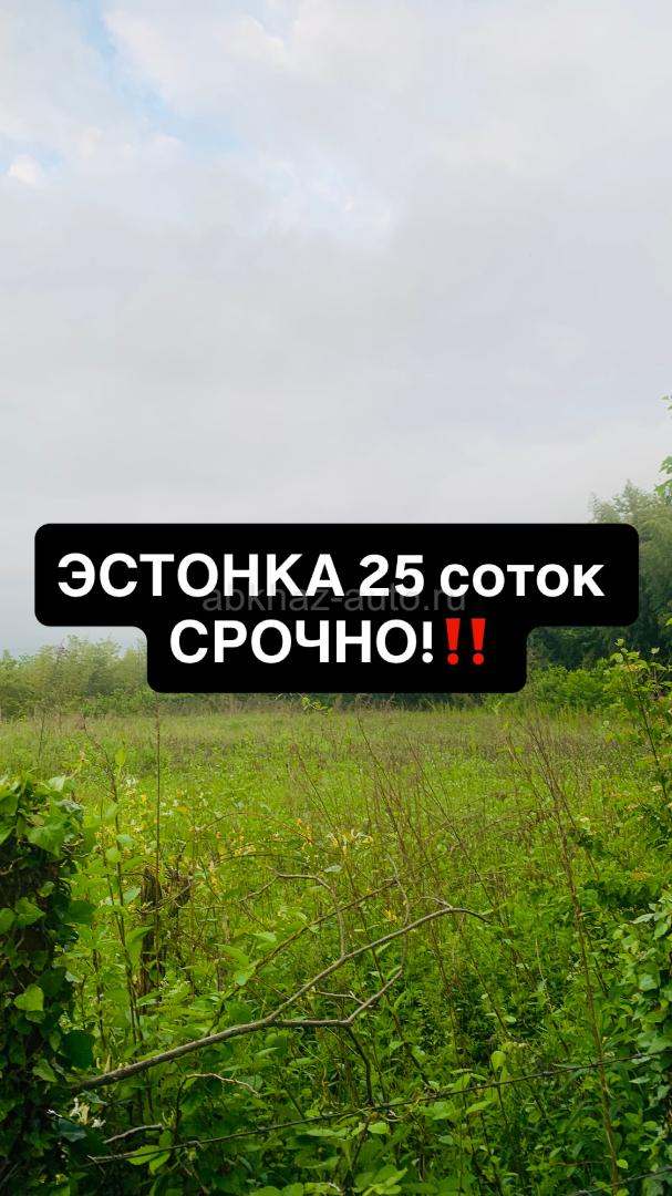 🔥торг