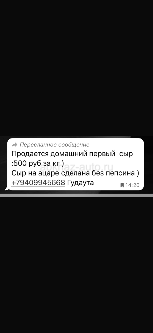 Сыр