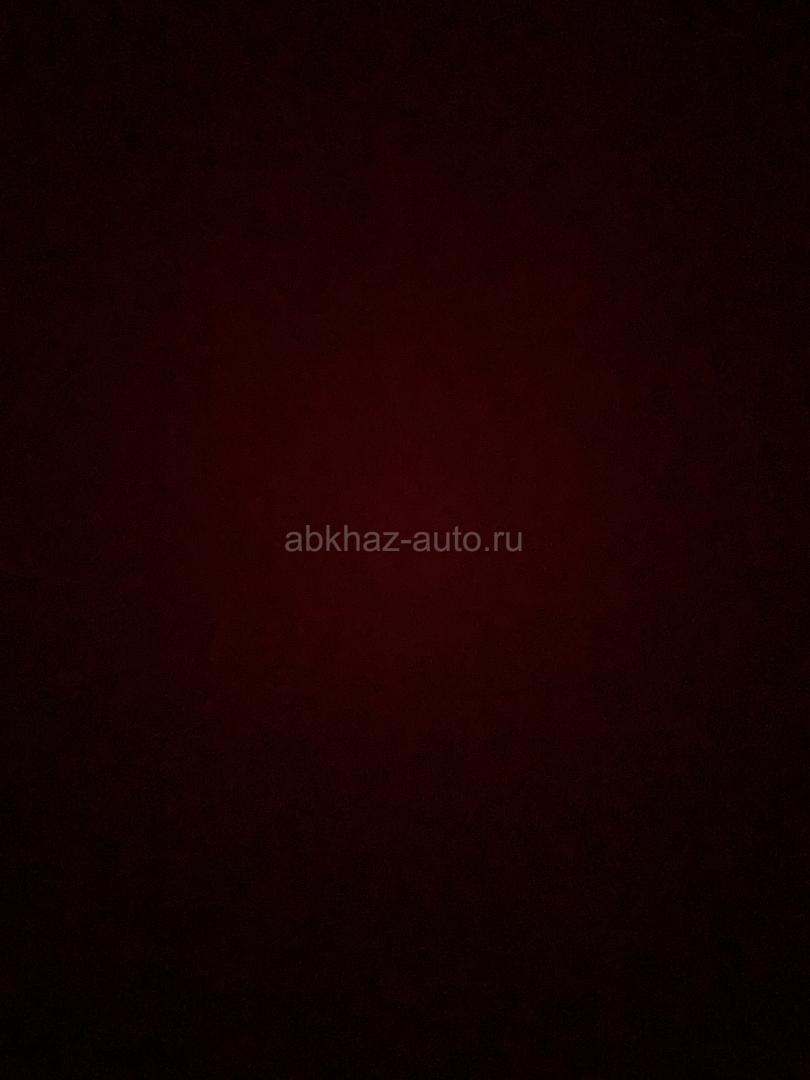 Абхазская порода 4 года для конной прогулки