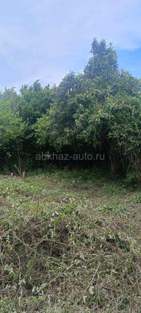 Срочная продажа