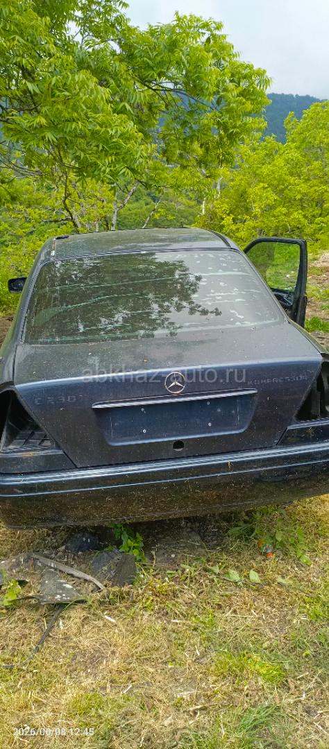 W202