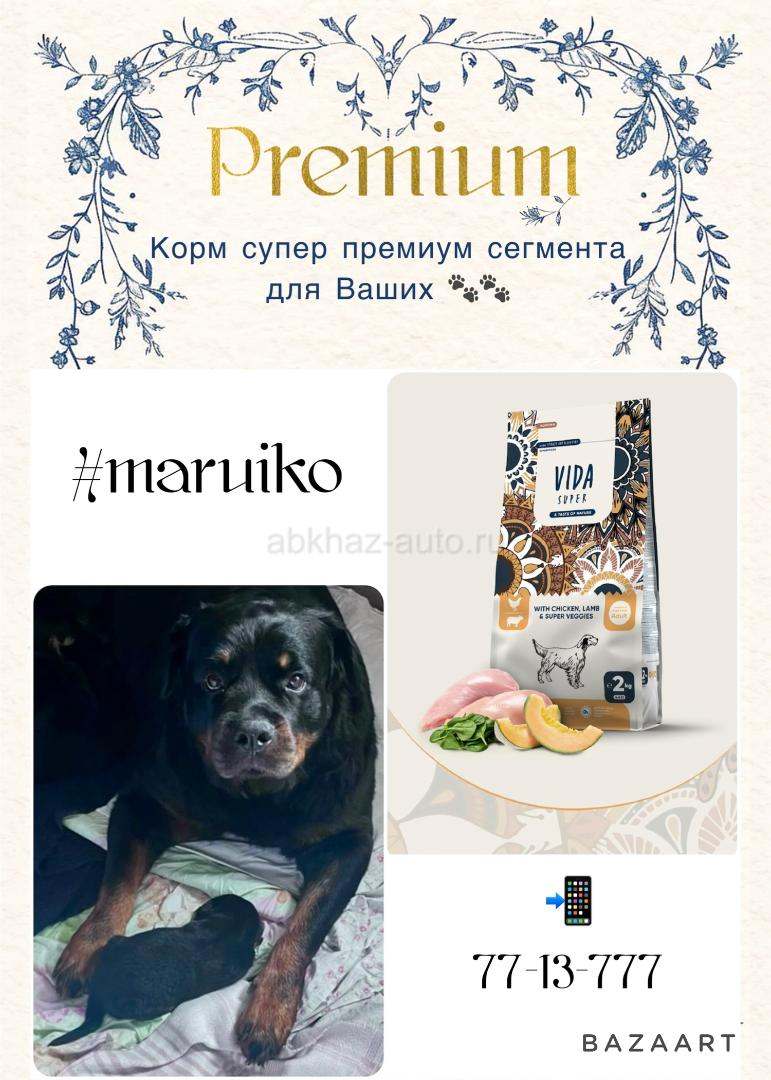 Премиум корм для кошек и собак
