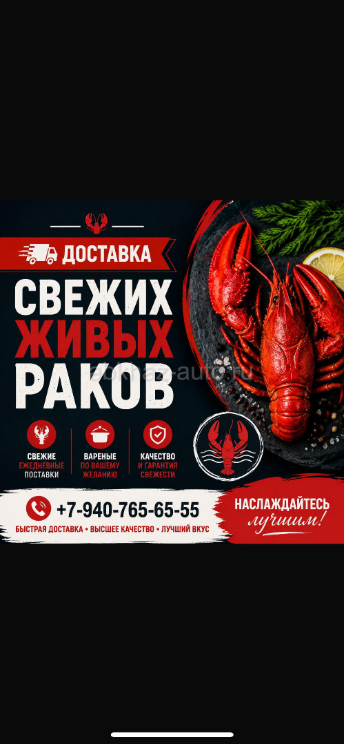 🦞 ЖИВЫЕ РАКИ 🦞