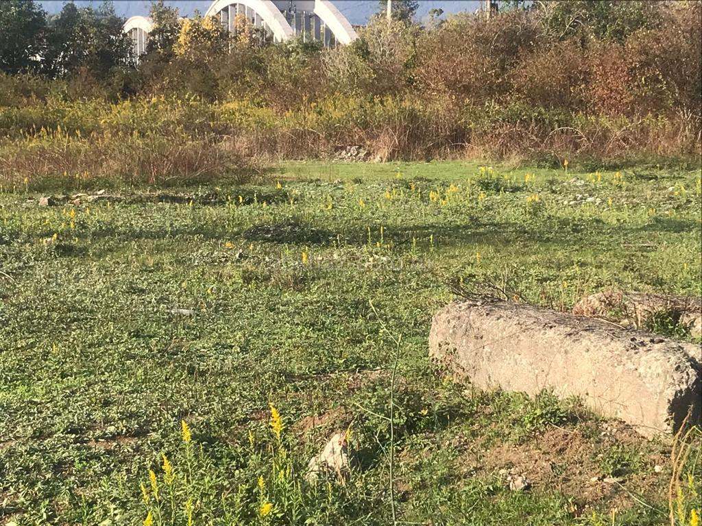 15 соток Гумиста у нижнего моста