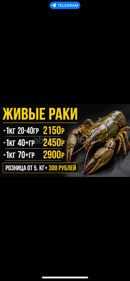 🦞 ЖИВЫЕ РАКИ 🦞