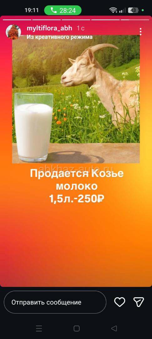 Козье молоко, сыр сулугуни, творог хачо
