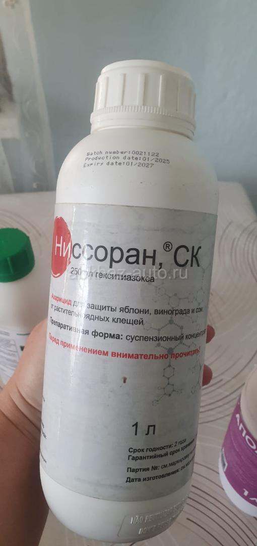 Аполло Ниссоран Скор