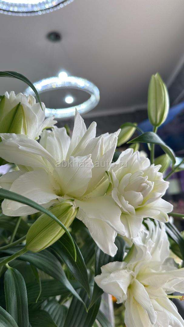 Флорист