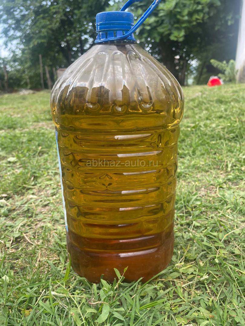 Продам медвежий жир