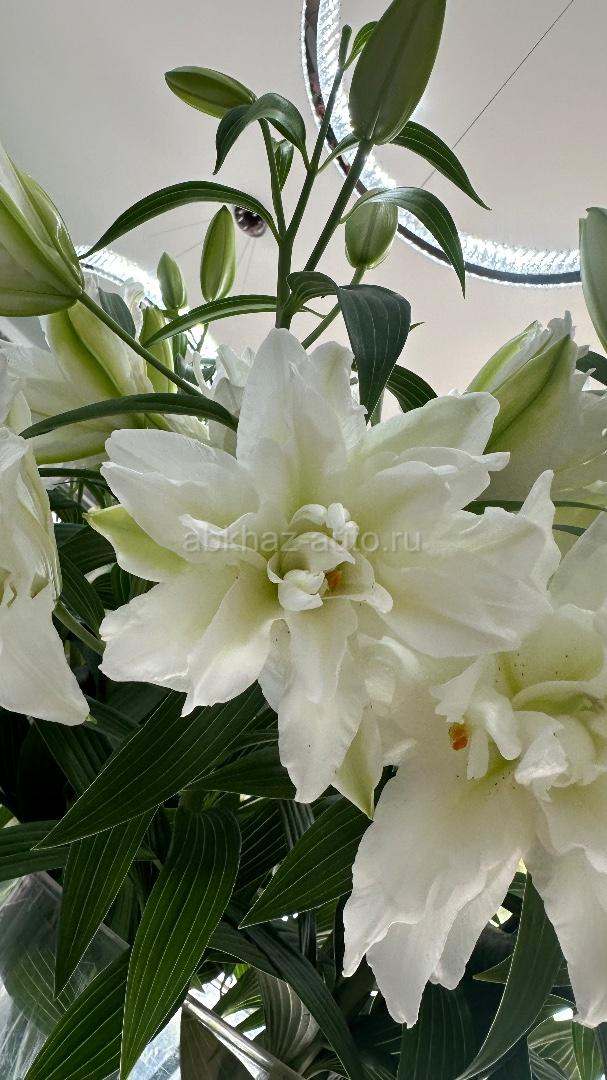 Флорист