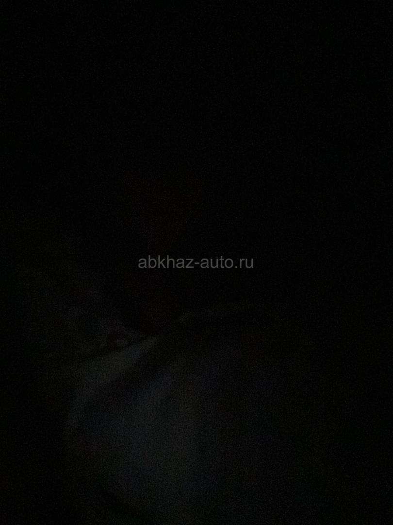 Корова с теленком, местная порода