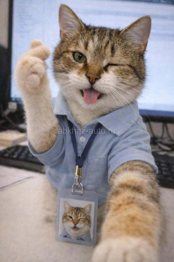 Срочно ищу работу